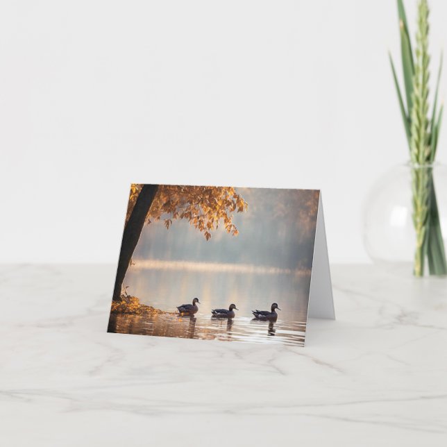 Ducks En El Lago Otoño (Anverso)