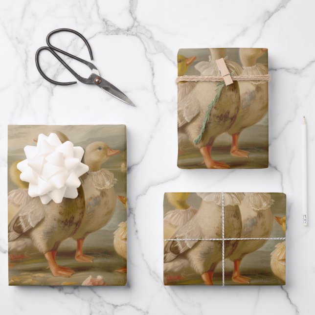 Ducks - Papel de regalo de pintura de aceite (Anverso)