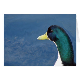 Ducky