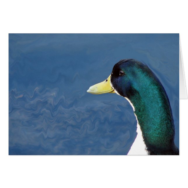 Ducky (Anverso (Horizontal))