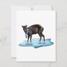 Duiker - tarjeta de vacaciones