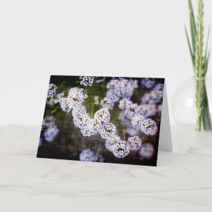 Dulce alyssum en la tarjeta del día de la madre de