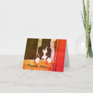 Dulce borde Collie Puppy Dog Art Gracias Tarjeta