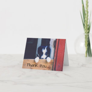 Dulce borde Collie Puppy Dog Gracias Tarjeta