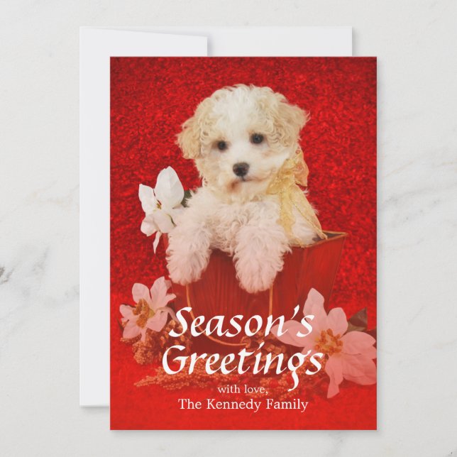 Dulce cachorro Navidad sentado en una cesta (Anverso)