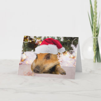 Dulce Cerdo En El Árbol De Navidad De Santa Hat