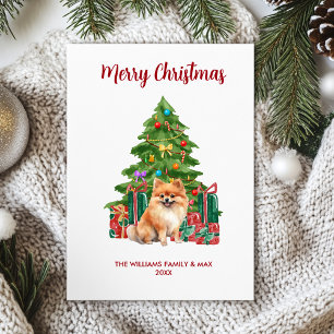 Dulce familia de perro Pomerania en Navidad