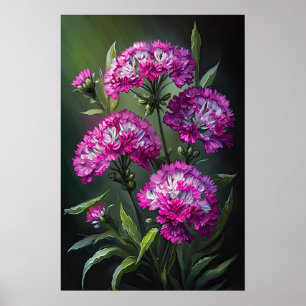 Dulce rosa William Poster de impresión de arte flo