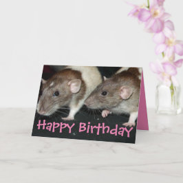 Dulce tarjeta de cumpleaños de ratas chicas con ca