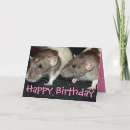 Dulce tarjeta de cumpleaños de ratas chicas con ca