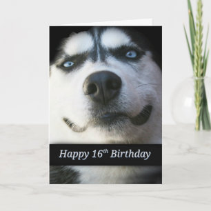 Dulce tarjeta de cumpleaños número 16, dulce Husky