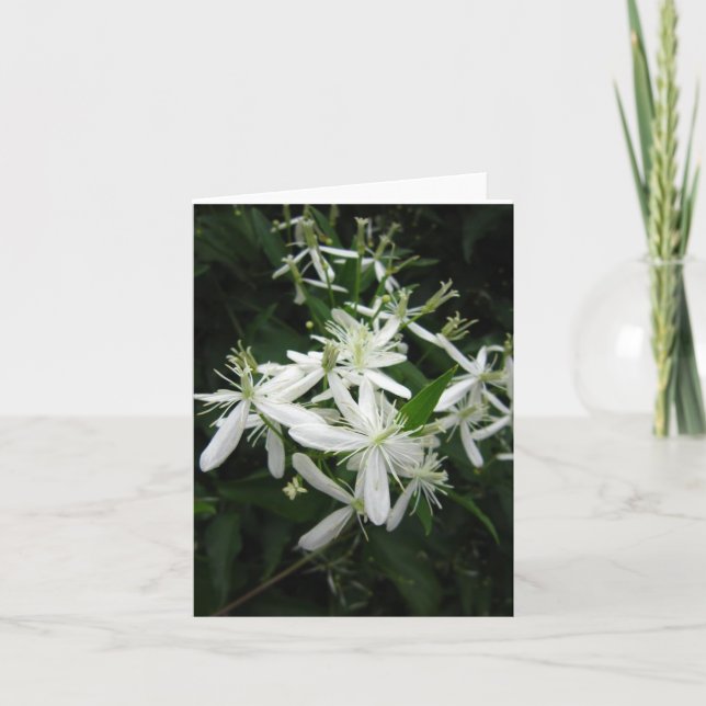 Dulce tarjeta de nota plegada de la fotografía cle (Anverso)