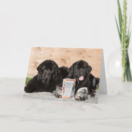 Dulces deseos de bienvenida tarjeta de bebé con re