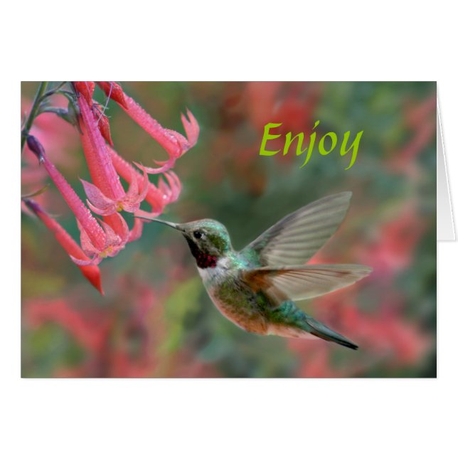 Dulces Pleasures (Anverso (Horizontal))