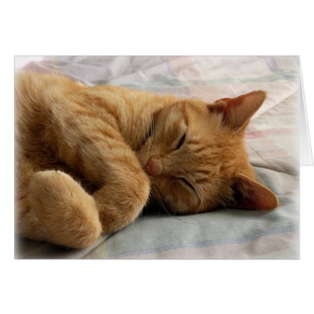 Dulces sueños (Anverso (Horizontal))