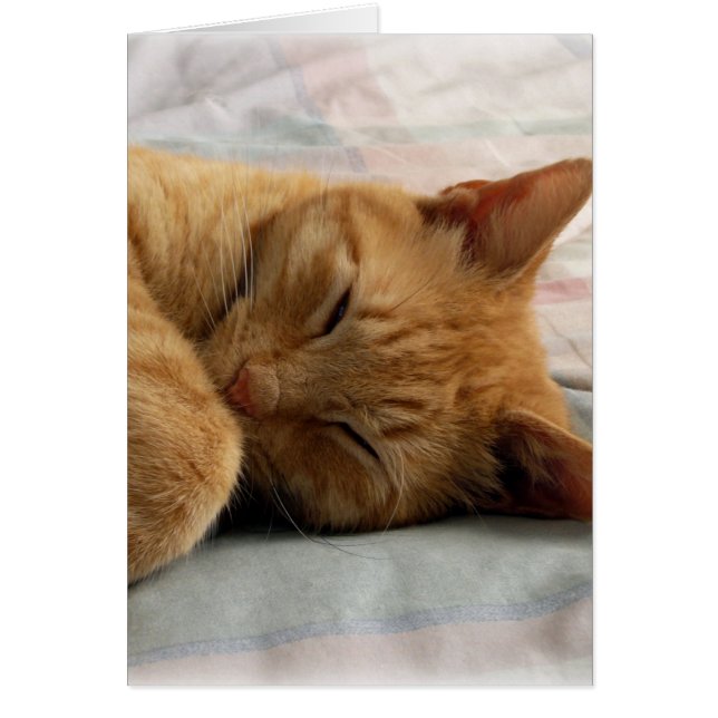 Dulces sueños (Frente)