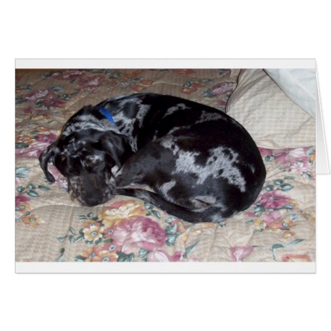 Dulces sueños (Anverso (Horizontal))