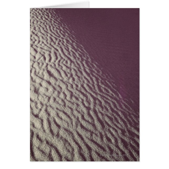 Duna de arena 2 (Frente)