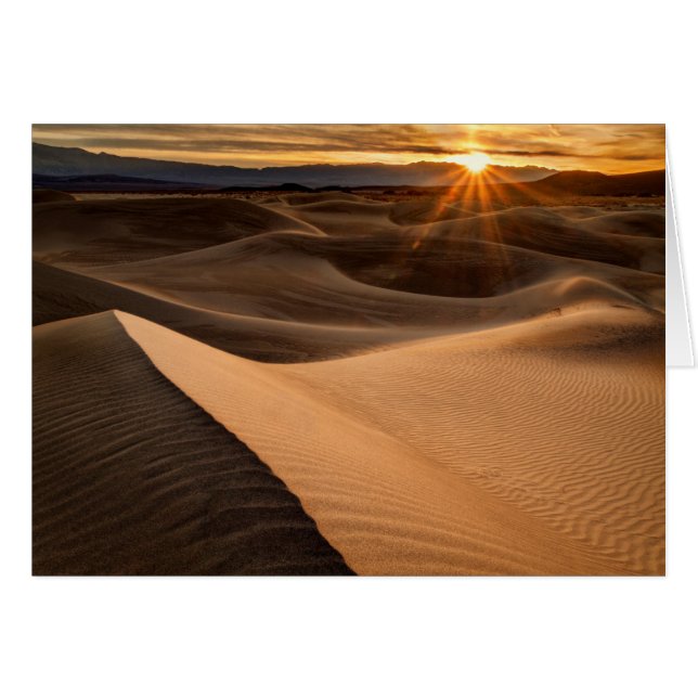 Dunas de arena dorada, Valle de la Muerte, CA (Anverso (Horizontal))