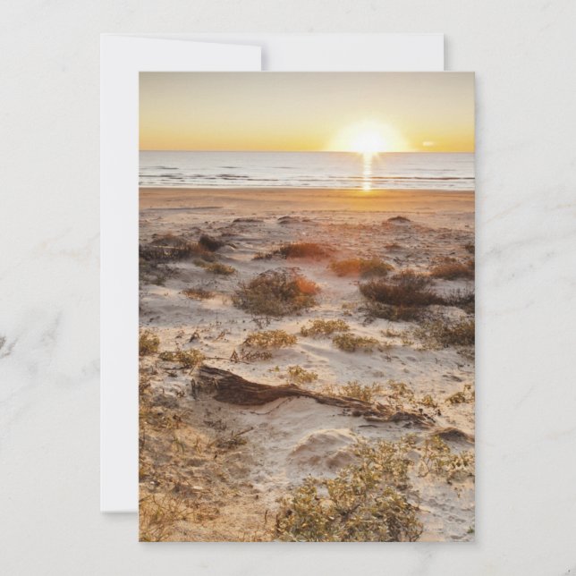 Dunas de arena malaquitas (Anverso)