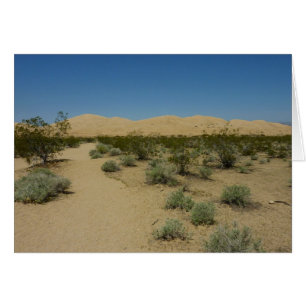 Dunas de Kelso en el Parque Nacional Mojave