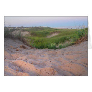 Dunas en Montauk