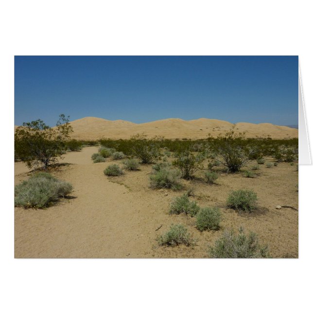 Dunas Kelso en el Parque Nacional Mojave (Anverso (Horizontal))