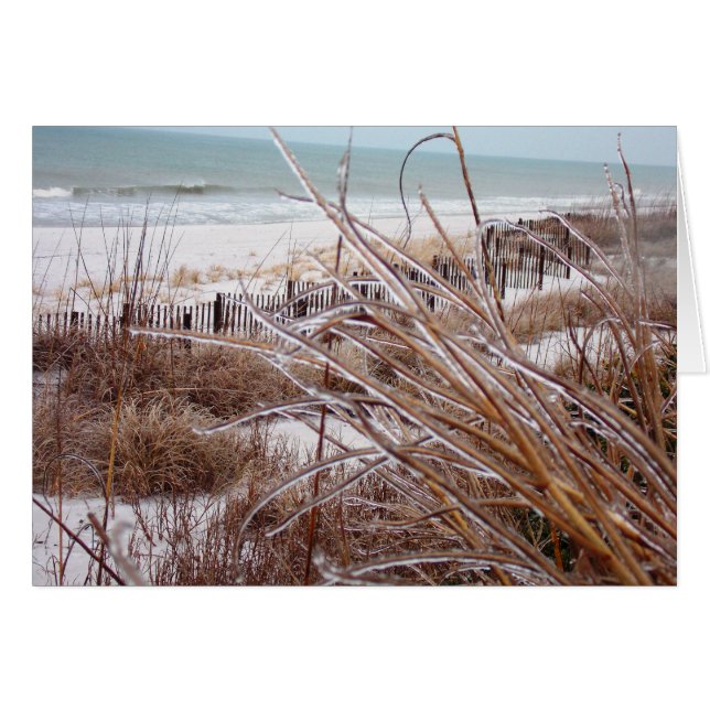 Dune-sicle (Anverso (Horizontal))