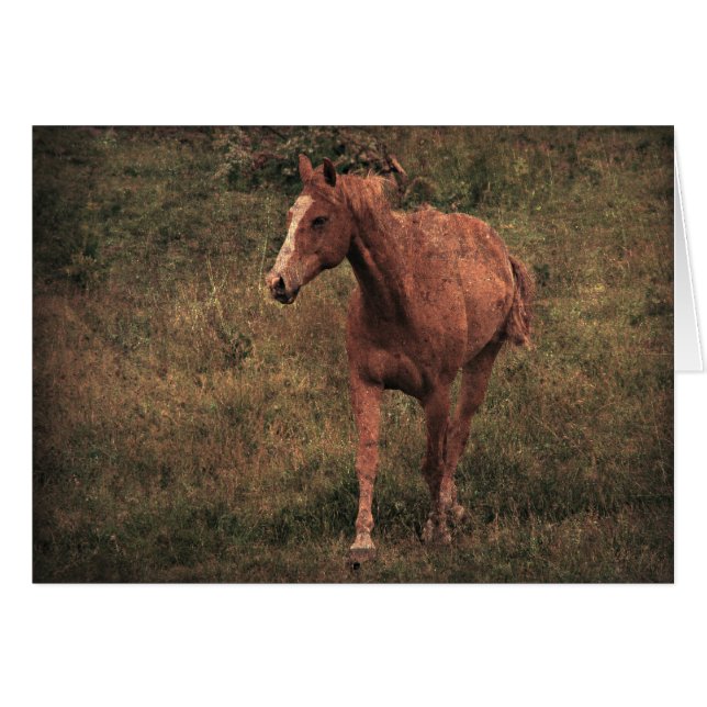Dunnit (Anverso (Horizontal))