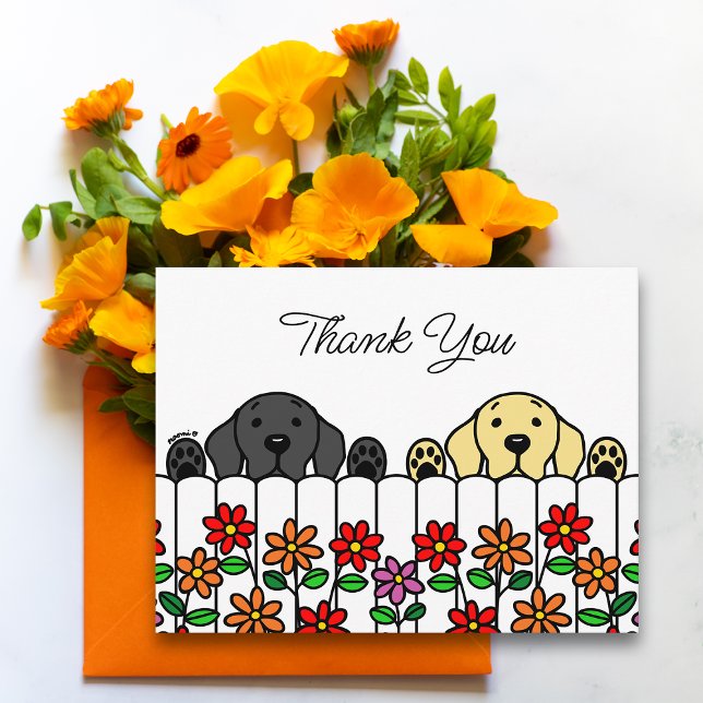 Dúo de Labrador mirándote Tarjeta postal de agrade (Labrador Duo Watching You Thank You Postcard for Labrador Owners.  Black Lab and Yellow Lab design.)