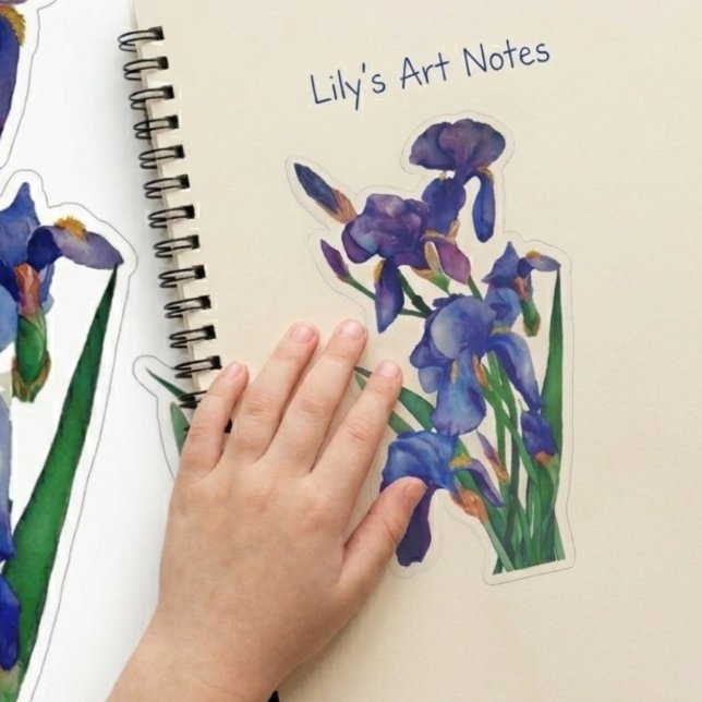 Dúo de pegatinas divertidas de iris de acuarela fl (Subido por el creador)