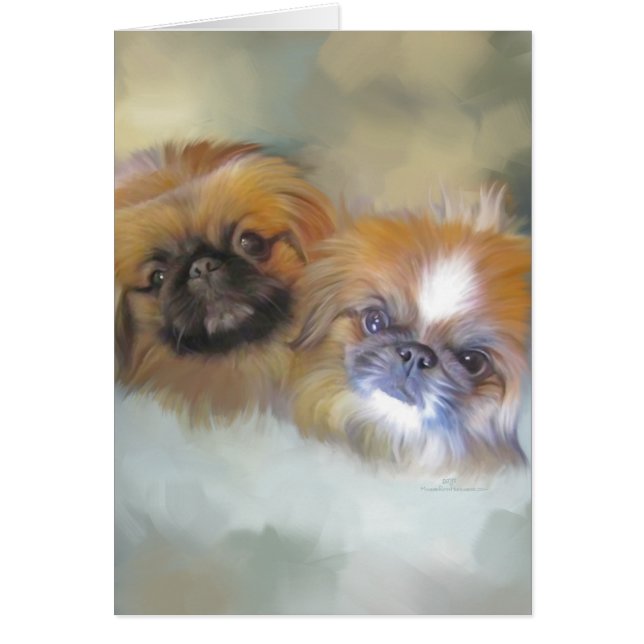 Dúo de Pekingese Suave (Frente)