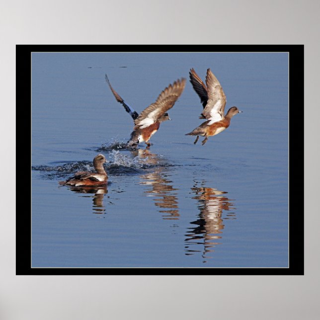 Duques quitando la impresión (Frente)