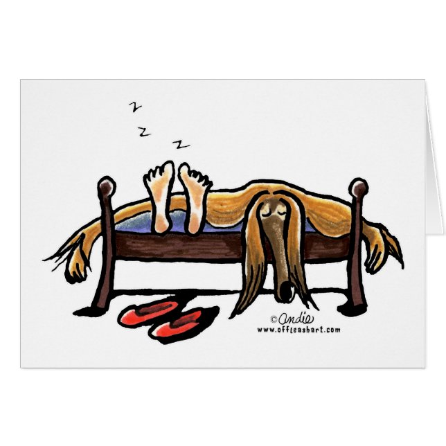 Dura con los afganos (Anverso (Horizontal))