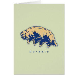 Durable - tardígrado