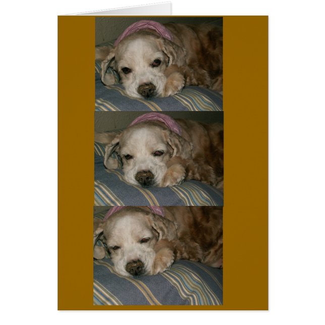 durmiendo en seattle (Frente)