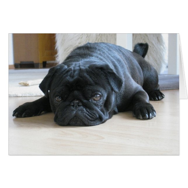 Durmiente negro agudo (Anverso (Horizontal))