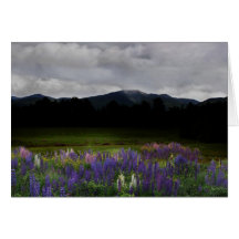 Dusk en la cordillera de Franconia