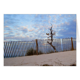 Dusk en la playa de Júpiter