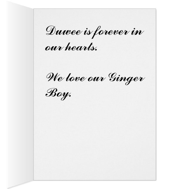 Duwee (Interior (Derecha))