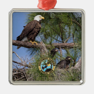 E10 E11 y ornamento del día de fiesta de la