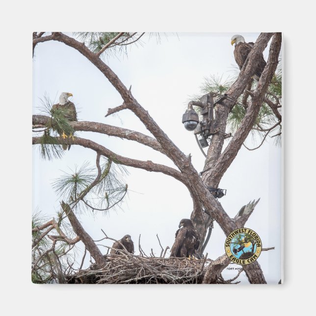 E10 y E11 + imán familiar (Frente)