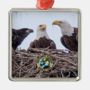 E9 y ornamento del día de fiesta de la familia