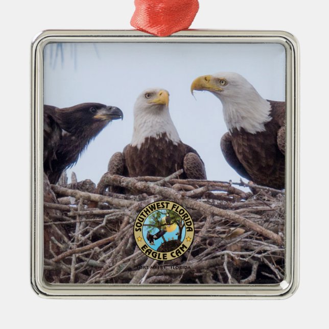 E9 y ornamento del día de fiesta de la familia (Frente)