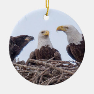 E9 y ornamento del día de fiesta de la familia