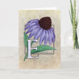 E para tarjetas monográficas de flor de Echinacea