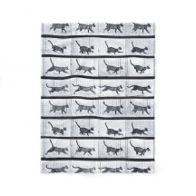 EADWEARD MUYBRIDGE: Gato que camina - manta lanosa