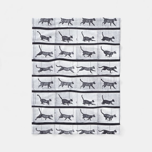 EADWEARD MUYBRIDGE: Gato que camina - manta lanosa (Anverso)