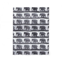 EADWEARD MUYBRIDGE: Manta lanosa que camina del