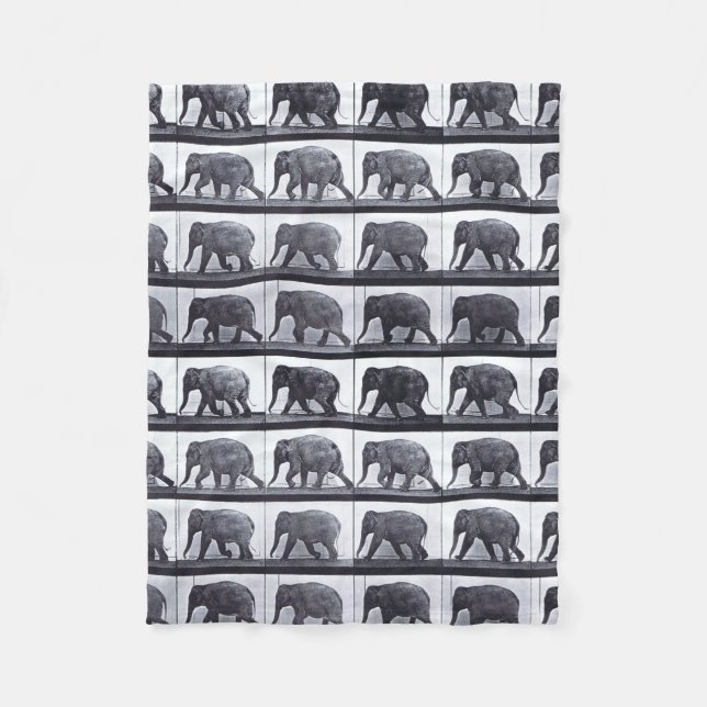 EADWEARD MUYBRIDGE: Manta lanosa que camina del (Anverso)